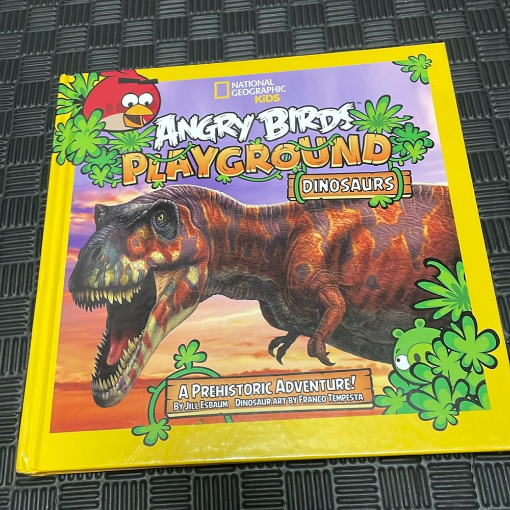 National Geographic kids playground Dinosaurs  book with angry birds